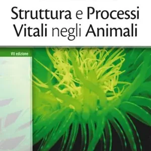 Ultime Pezzi Struttura e processi vitali negli animali