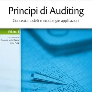 Principi di Auditing. Concetti, modelli, metodologie, applicazioni. Con Contenuto digitale (fornito elettronicamente). Vol. 1 Must-Have