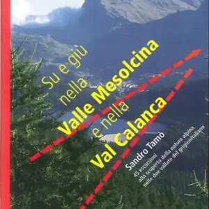 Solo Oggi Su e giù nella valle Mesolcina e nella valle Calanca. 45 escursioni alla scoperta della natura alpina delle due vallate del grigionitaliano