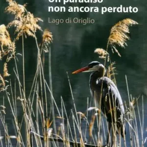 Un paradiso non ancora perduto. Lago di Origlio. Ediz. illustrata Solo Oggi