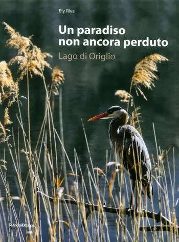 Un paradiso non ancora perduto. Lago di Origlio. Ediz. illustrata Solo Oggi