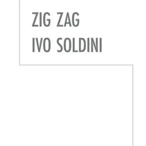 Zig Zag. Ivo Soldini. Ediz. illustrata Offerta Limitata
