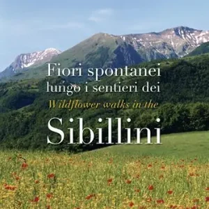 Pagamento Sicuro Fiori spontanei lungo i sentieri dei Sibillini-Wildflowers walks in the Sibillini. Ediz. illustrata