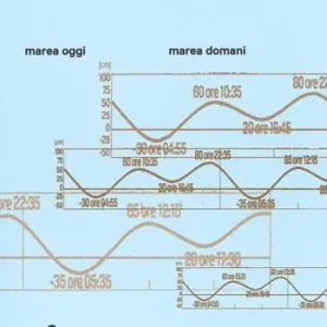 Esclusivo Marea oggi, marea domani. Ediz. italiana e inglese