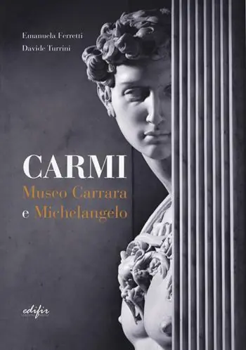 Affare Carmi. Museo Carrara e Michelangelo. Ediz. italiana e inglese