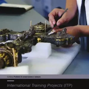 International training projects (ITP). Le nuove frontiere della Scuola di Alta Formazione e di Studio dell‘O.P.D. Ediz. italiana e inglese Ordina Subito