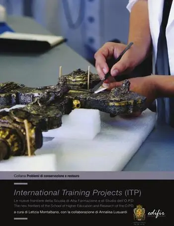 International training projects (ITP). Le nuove frontiere della Scuola di Alta Formazione e di Studio dell‘O.P.D. Ediz. italiana e inglese Ordina Subito