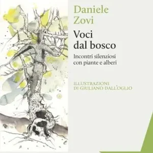 Miglior Prezzo Voci dal bosco. Incontri silenziosi con piante e alberi