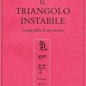 Compra Online Il triangolo instabile