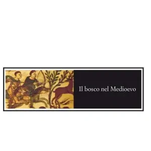 Il bosco nel Medioevo Quantità Limitata