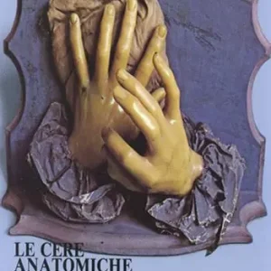 Le cere anatomiche bolognesi del Settecento. Catalogo della mostra (Bologna, settembre-novembre 1981) Occasione