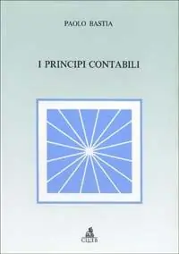 Offerta Lampo I principi contabili