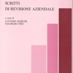 Scritti di revisione aziendale Miglior Prezzo