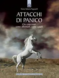 Super Prezzo Attacchi di panico. Che cosa sono, come affrontarli, come curarli