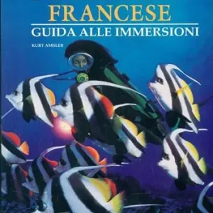 Nuovo Arrivo Polinesia francese. Ediz. illustrata