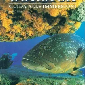Scelto Dai Clienti Corsica. Ediz. illustrata