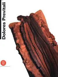 Dolores Previtali. La carne e l‘anima. Ediz. illustrata Subito Disponibile