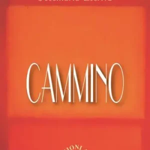 Prezzo Conveniente Cammino. Nuova ediz.