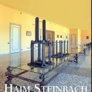 Haim Steinbach. Ediz. italiana e inglese Consegna Rapida