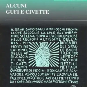 Compra Oggi Stesso Alcuni gufi e civette