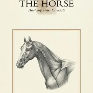 The horse. Anatomy plates for artists Compra Oggi Stesso