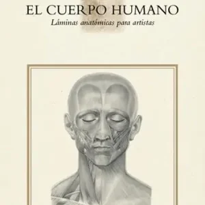 El Cuerpo humano. Láminas anatómicas para artistas. Ediz. illustrata Spedito Oggi