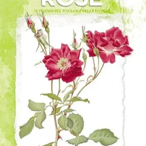 Affare Rose