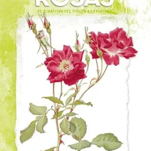 Rosas Di Tendenza