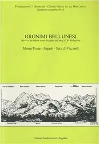 Oronimi bellunesi. Quaderno scientifico. Vol. 9 Ricerca di itinere sotto la guida prof.G.B.Pellegrini. Monte Punta, Fagarè, Spiz di Mezzodì. Novità