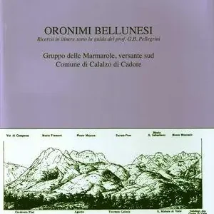Non Perdere Oronimi bellunesi. Quaderno scientifico. Vol. 10 Gruppo delle Marmarole, versante sud.