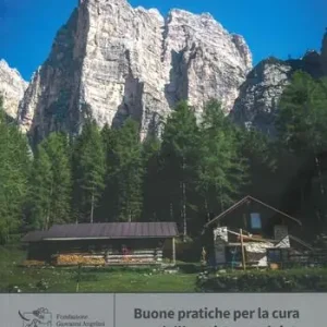 Economico Buone pratiche per la cura dell‘ecosistema alpino. Il caso del progetto Energianova al Rifugio Bosconero in Val di Zoldo