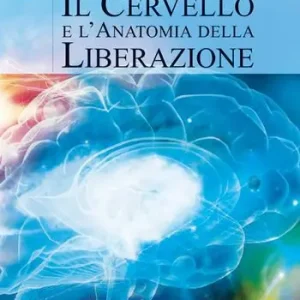 Vendita Finale Il cervello e l‘anatomia della liberazione