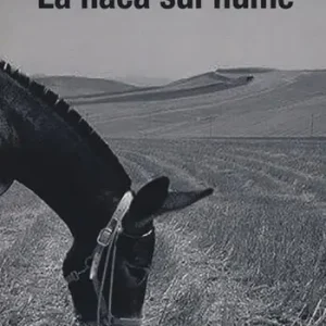La naca sul fiume Economico