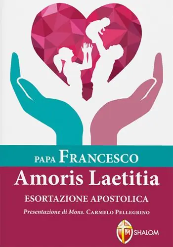 Professionale Amoris laetitiae. Esortazione apostolica postsinodale