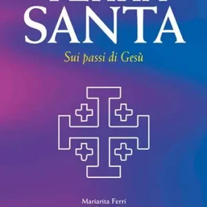 Guida della Terra Santa. Sui passi di Gesù. Con carta estraibile Nuova Collezione