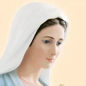 Vendita Finale Pregate il santo rosario ogni giorno e avrete la pace. Ediz. spagnola