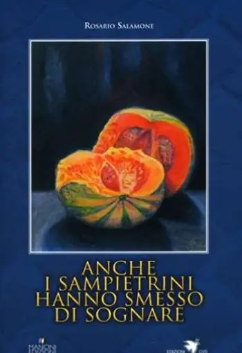 Anche i sampietrini hanno smesso di sognare Offerta Speciale