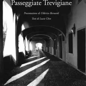 Spedito Oggi Passeggiate trevigiane. Ediz. illustrata