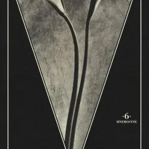 Tina Modotti fotografa. Ediz. illustrata Promozione