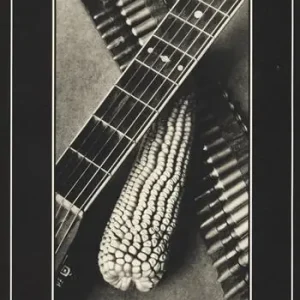 Promo Stagionale Tina Modotti lampi sul Messico. Ediz. illustrata