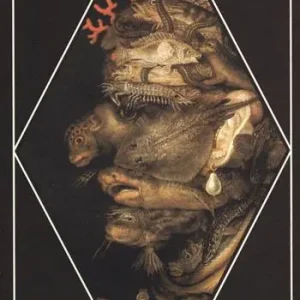 Miglior Prezzo Arcimboldo