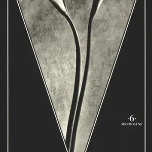 Tina Modotti fotografa. Ediz. illustrata Direttamente Dal Produttore