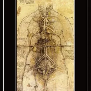 Consegna Rapida Disegni anatomici. Ediz. a colori