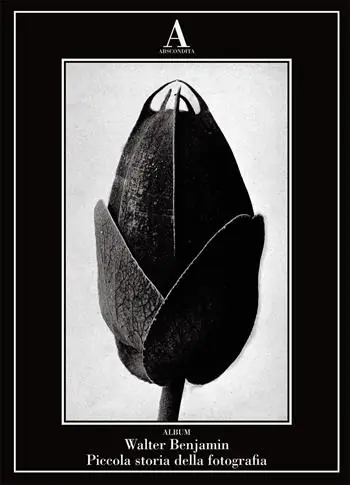 Nuova Collezione Piccola storia della fotografia. Ediz. illustrata