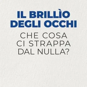 Offerta Il brillio degli occhi. Che cosa ci strappa dal nulla?