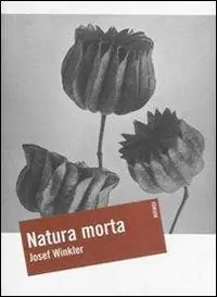 Natura morta Promozione Esclusiva