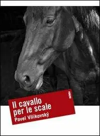 Consegna Rapida Il cavallo per le scale
