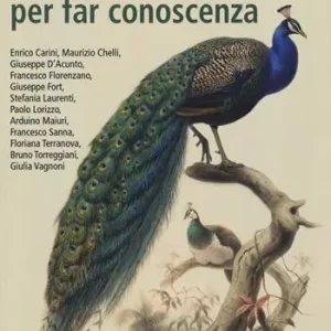 Andai al Palazzo per far conoscenza Direttamente Dal Produttore