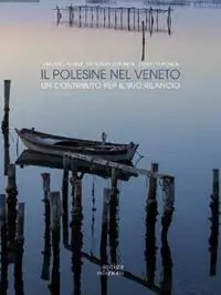 Il Polesine nel Veneto. Un contributo per il suo rilancio Economico