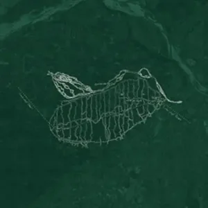 Direttamente Dal Produttore Gnessulógo. Poesia, pittura, territorio. Dentro alla poetica di Andrea Zanzotto